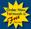 business website - 1st month free logo